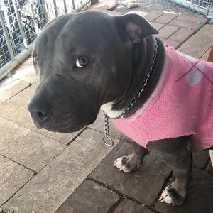 Meet your Posher, Hermilyn